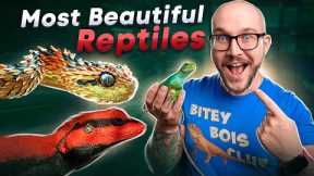 The Worlds' 5 Most Beautiful Reptiles YOU Have Never Heard Of!