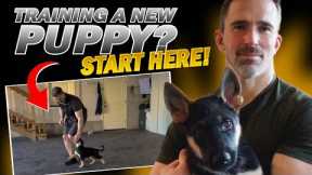 First Step to Training Your New Puppy!