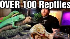 The Last Reptile Room Tour Of The Year! [Reptile Room Tour 2023]