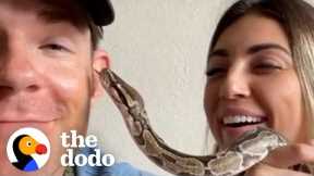 Python Abandoned By Her Owners Feels So Much Better After A Bubble Bath | The Dodo