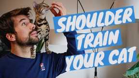 How to TRAIN A CAT TO SIT ON YOUR SHOULDER using clicker training