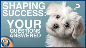 Common Misconceptions Around Shaping: Why You May Find Dog Training Frustrating #261 #podcast