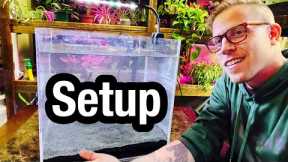 How to Set Up a Fish Aquarium at Home - Beginners Guide