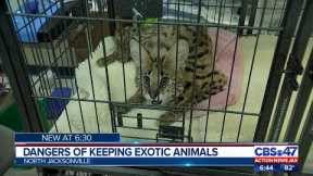 Dangers of keeping exotic animals as pets | Action News Jax