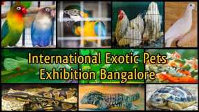 Biggest Exotic Pets Exhibition | International Exotic Birds & Pet Zoo | Animals & Birds Exhibition