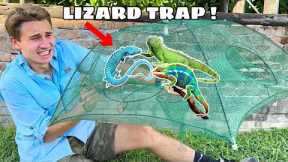 TRAPPING EXOTIC INVASIVE LIZARDS TAKING OVER MY PROPERTY !