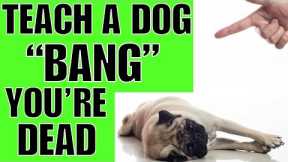 How To TEACH A Dog BANG You're DEAD!