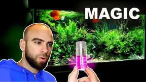 *SECRET* TO MY PLANT SUCCESS?? WATER TEST RESULTS || MD FISH TANKS