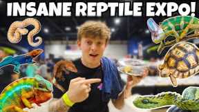 I SPENT OVER 1000$ AT THIS REPTILE SHOW!!  **INSANE**
