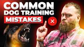 Common Dog Training Mistakes Dog Owners Make