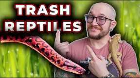 You're SLEEPING On These Reptiles You'd NEVER Keep!