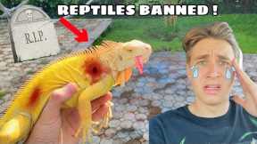 ALL REPTILES BANNED IN FL ?! WHAT NOW ??