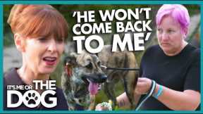 Victoria Shocked by 'Dangerous' Walks😱  | It's Me or The Dog