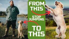 Teach Your Dog To Stop Jumping Up With This Simple Plan