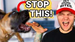 How To Stop Puppy Biting Guaranteed! STOP Puppy Biting In Seconds!
