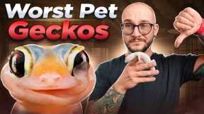 The 5 WORST Pet Geckos and 5 WAY BETTER Options! I Bet You've Never Heard of Number 3!