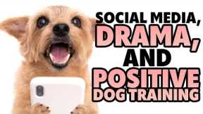 Dog Training Community And Controversy: Can We Draw From Our Positive Reinforcement Values? #265