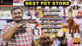 Hyderabads best pet store || exotic pets || ball Pyhtons|| toy poodle||  mini pin ||Telugu vlogs||