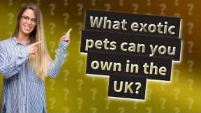 What exotic pets can you own in the UK?