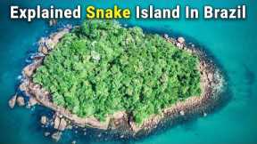The Forbidden Snake Island In Brazil. You Should Not Go This Snakes Island.