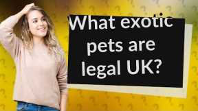 What exotic pets are legal UK?