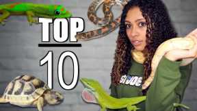 Top 10 Beginner Reptiles