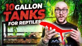 Top 5 Reptiles That Can Live In A Ten Gallon Enclosure FOREVER!