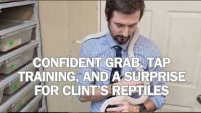 CLINT'S REPTILES visits, we demonstrate confident grab, tap training, and more!  @ClintsReptiles