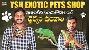 Exotic Pets Shop In Hyderabad || Ysh Exotic Pets || Hyderabad Pets Shop || Tamada Media