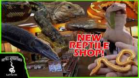 TOURING A NEW REPTILE SHOP IN CALIFORNIA! (The Reptile Shop, Riverside)