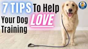 7 Tips To Help Your Dog Love Training With You