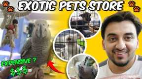 Exotic Pets Store in Hyderabad || Aamer's Den