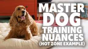 Hot Zone And Stays - How One Dog Training Nuance Can Fix Anxiety And Duration #266 #podcast