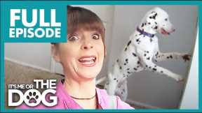 Deaf Dalmatian Opens Door and Runs towards Cars! | Full Episode | It's Me or the Dog