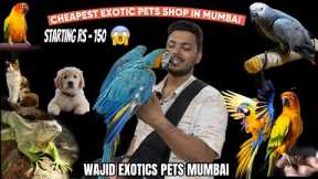 Cheapest Exotic Pets Shops In Mumbai | Starts Rs -150 | Mumbai Famous Pet Shop | Animal | Birds