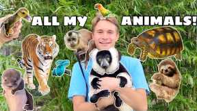 ALL MY ANIMALS IN ONE VIDEO ! FULL PROPERTY TOUR !!