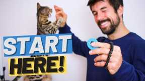 How to Clicker Train a Kitten - Start Clicker Training for Beginners