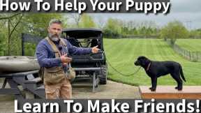How To Teach Your Puppy To Win Friends & Influence Dogs | Puppy Socialization Session
