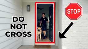 Train Your Dog to STOP Running Out The Door (Door Thresholds)
