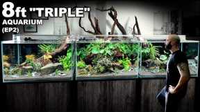 Building an 8ft Colossal TRIPLE Aquarium (EP2)