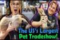 We went to the Global Pet Expo!
