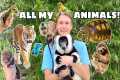 ALL MY ANIMALS IN ONE VIDEO ! FULL