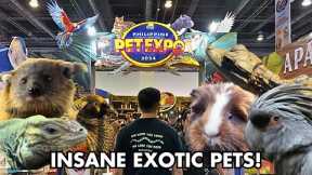 PHILIPPINE PET EXPO 2024 TOUR (Best exotic pet expo?)