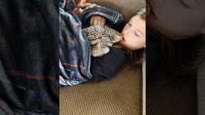This Lizard Is The Best Cuddle Buddy l The Dodo