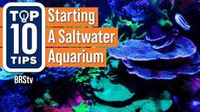 Top Simple Beginner Tips For Starting A Saltwater Reef Aquarium Setup