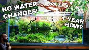 NO WATER CHANGES for a YEAR!! Ecosystem Aquarium How To