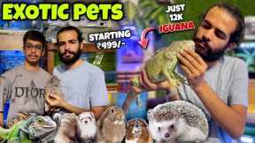 Meet Ludhiana's Most Unique Exotic Pets In This Shop!😳