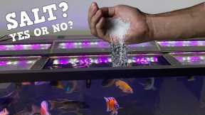 Do You Need Salt In Your Aquarium? Pros and Cons