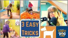 3 Easy Tricks Every Dog Should Know #68