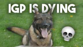 Why IGP Dog Sport is DYING!